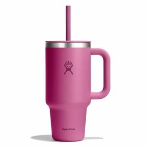 Hydro Flask Pink Travel Mug with Handle and Straw